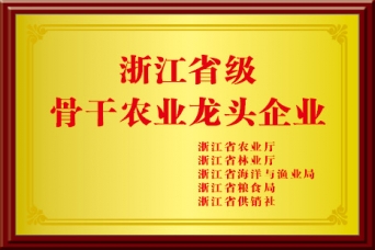 骨干農(nóng)業(yè)龍頭企業(yè)