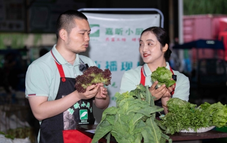 千金如玉，一口清心--生菜?油麥菜?萵筍直播專場